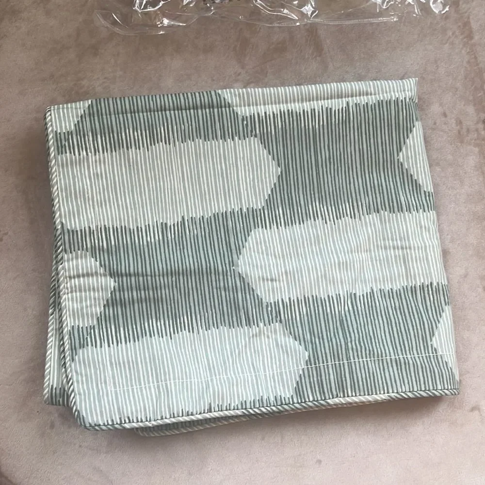 NWT Pier 1 King Sham Coastal Palm Green (1 Sham)